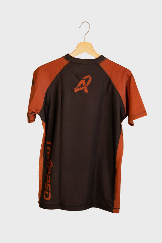 Le piège V1 - MARRON